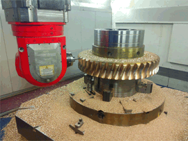 rolling mill screw down worm gears